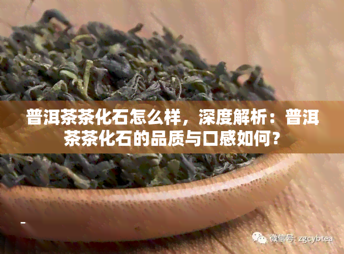 普洱茶茶化石怎么样，深度解析：普洱茶茶化石的品质与口感如何？