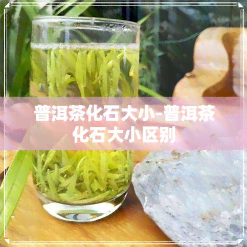 普洱茶化石大小-普洱茶化石大小区别