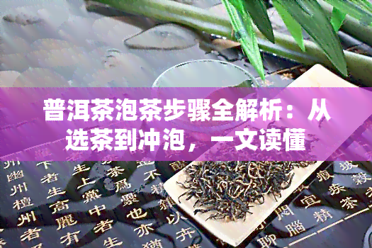 普洱茶泡茶步骤全解析：从选茶到冲泡，一文读懂