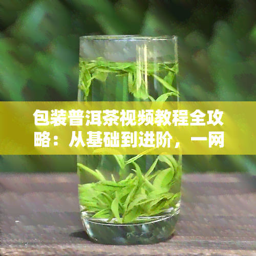 包装普洱茶视频教程全攻略：从基础到进阶，一网打尽！