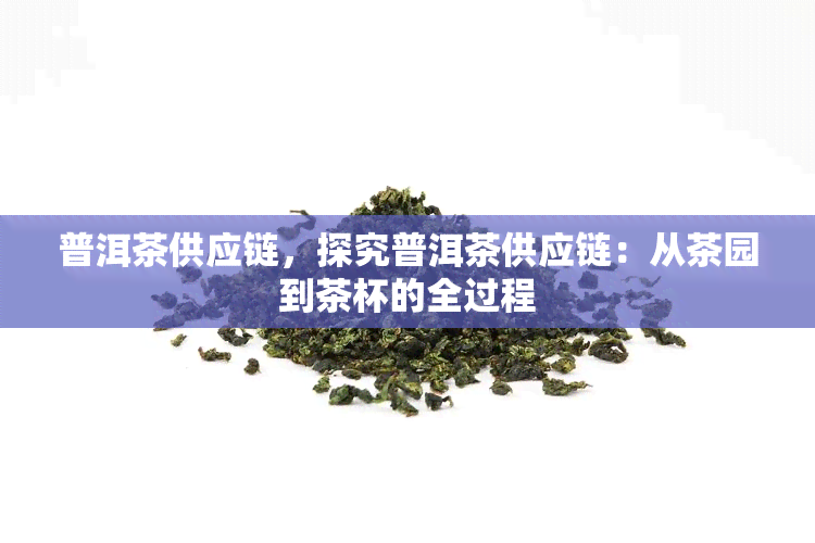 普洱茶供应链，探究普洱茶供应链：从茶园到茶杯的全过程