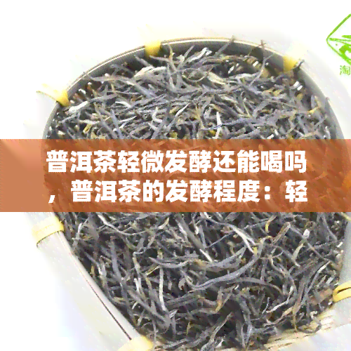 普洱茶轻微发酵还能喝吗，普洱茶的发酵程度：轻微发酵是否影响口感与饮用？