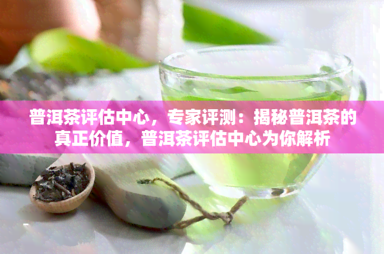 普洱茶评估中心，专家评测：揭秘普洱茶的真正价值，普洱茶评估中心为你解析