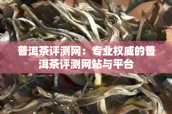 普洱茶评测网：专业权威的普洱茶评测网站与平台