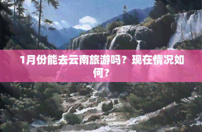 1月份能去云南旅游吗？现在情况如何？