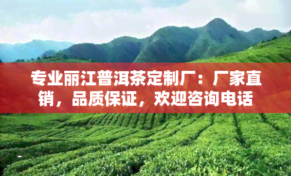 专业丽江普洱茶定制厂：厂家直销，品质保证，欢迎咨询电话