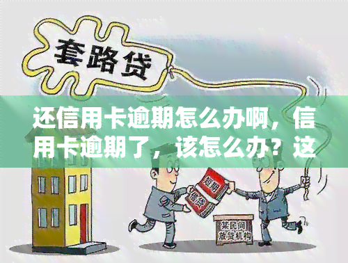 还信用卡逾期怎么办啊，信用卡逾期了，该怎么办？这里有解决方案！