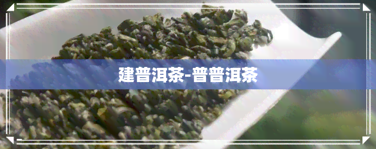 建普洱茶-普普洱茶