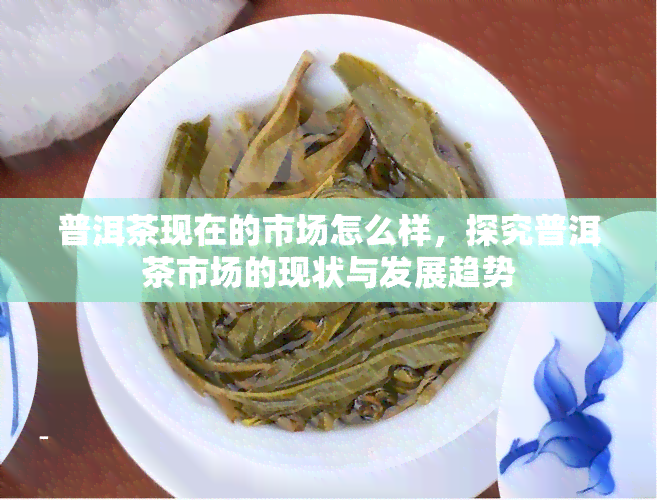 普洱茶现在的市场怎么样，探究普洱茶市场的现状与发展趋势