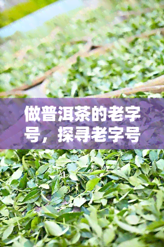 做普洱茶的老字号，探寻老字号普洱茶的制作工艺与历文化