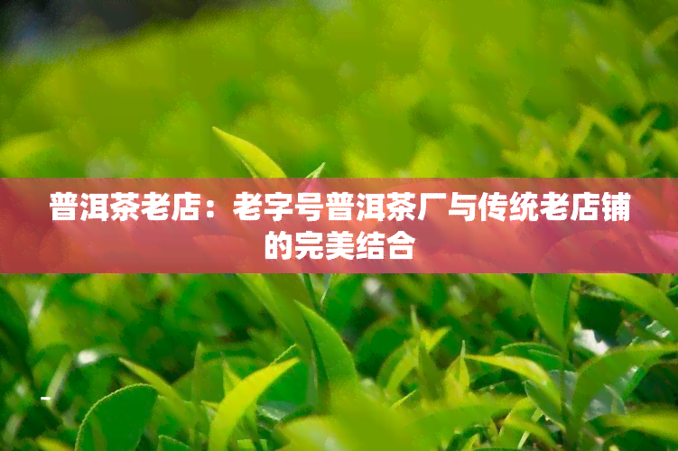 普洱茶老店：老字号普洱茶厂与传统老店铺的完美结合