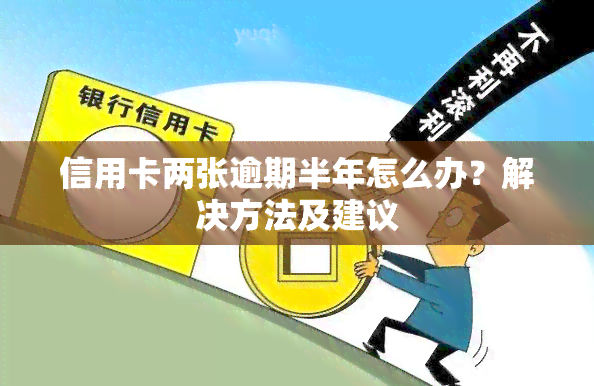 信用卡两张逾期半年怎么办？解决方法及建议