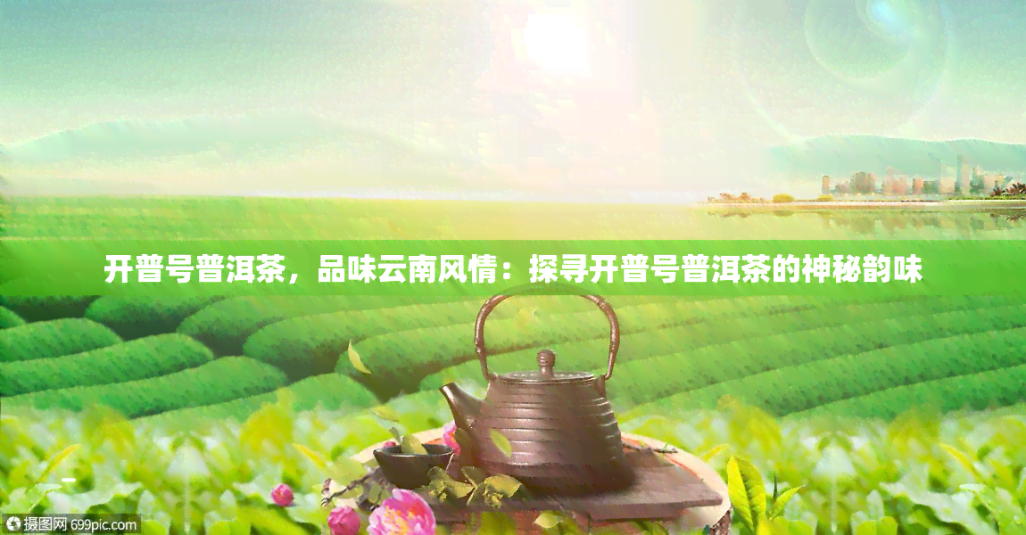 开普号普洱茶，品味云南风情：探寻开普号普洱茶的神秘韵味