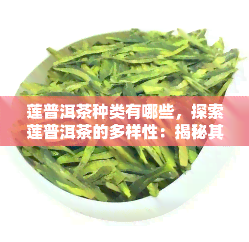 莲普洱茶种类有哪些，探索莲普洱茶的多样性：揭秘其丰富的种类