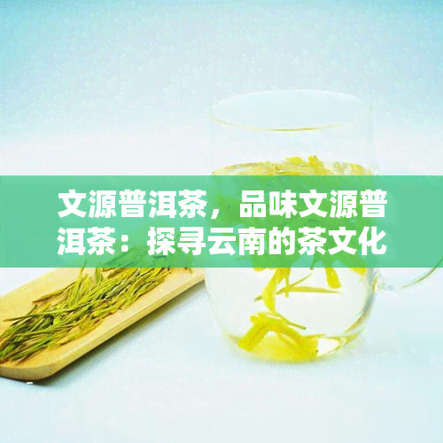 文源普洱茶，品味文源普洱茶：探寻云南的茶文化之旅