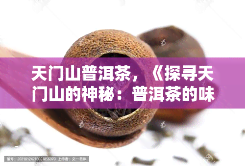 天门山普洱茶，《探寻天门山的神秘：普洱茶的味道与历》