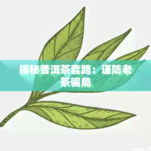 揭秘普洱茶套路：谨防老茶骗局