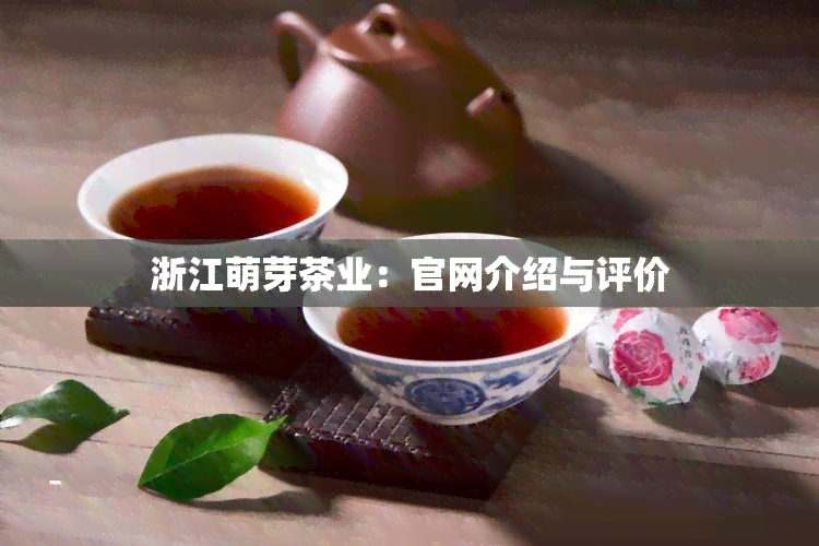 浙江萌芽茶业：官网介绍与评价