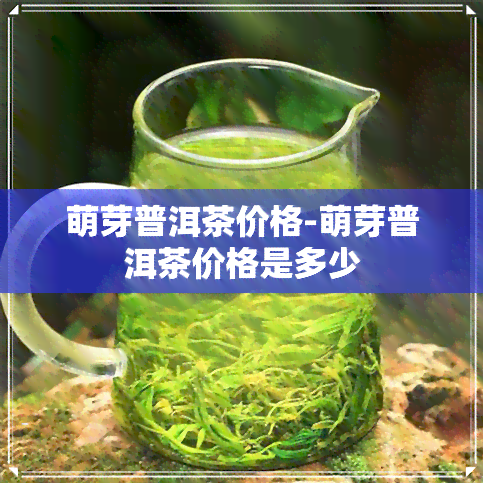 萌芽普洱茶价格-萌芽普洱茶价格是多少