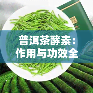 普洱茶酵素：作用与功效全解析