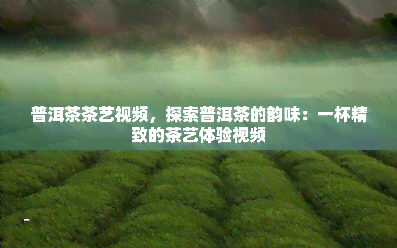 普洱茶茶艺视频，探索普洱茶的韵味：一杯精致的茶艺体验视频