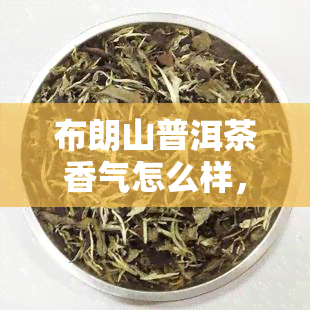 布朗山普洱茶香气怎么样，探究布朗山普洱茶的香气特性