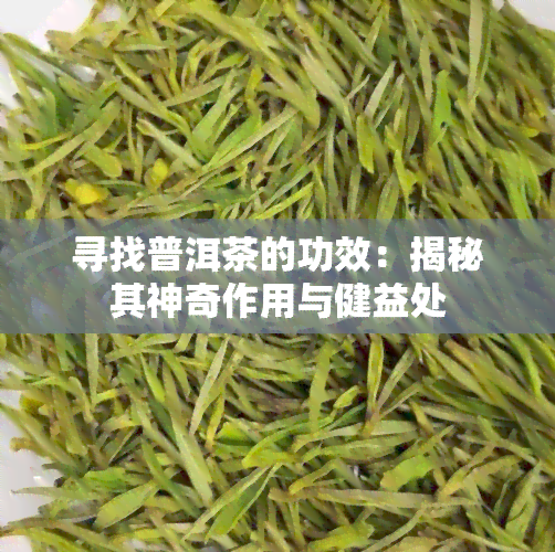 寻找普洱茶的功效：揭秘其神奇作用与健益处