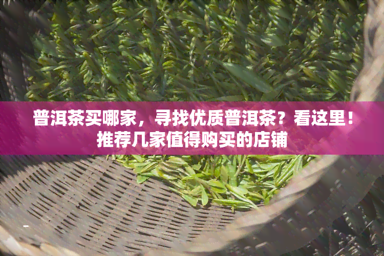 普洱茶买哪家，寻找优质普洱茶？看这里！推荐几家值得购买的店铺