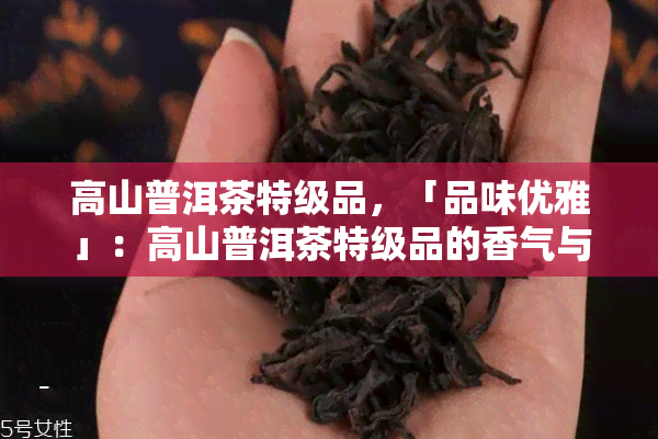 高山普洱茶特级品，「品味优雅」：高山普洱茶特级品的香气与韵味