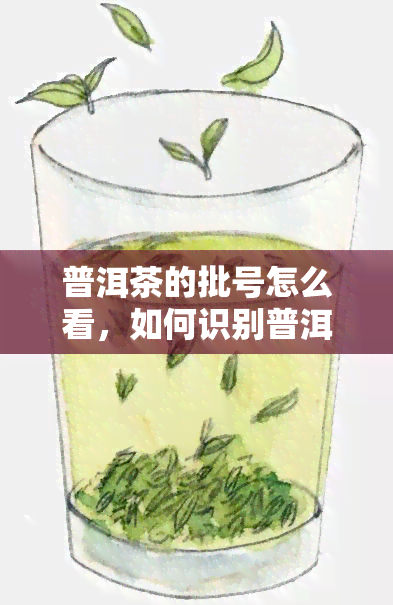 普洱茶的批号怎么看，如何识别普洱茶批号？一份详细指南