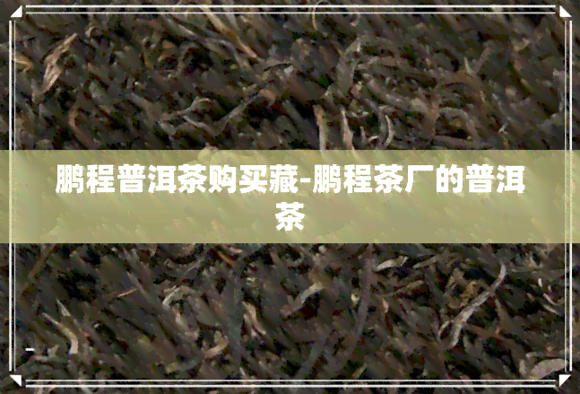 鹏程普洱茶购买藏-鹏程茶厂的普洱茶