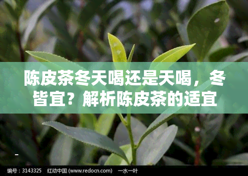 陈皮茶冬天喝还是天喝，冬皆宜？解析陈皮茶的适宜饮用节