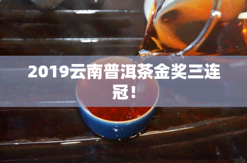 2019云南普洱茶金奖三连冠！