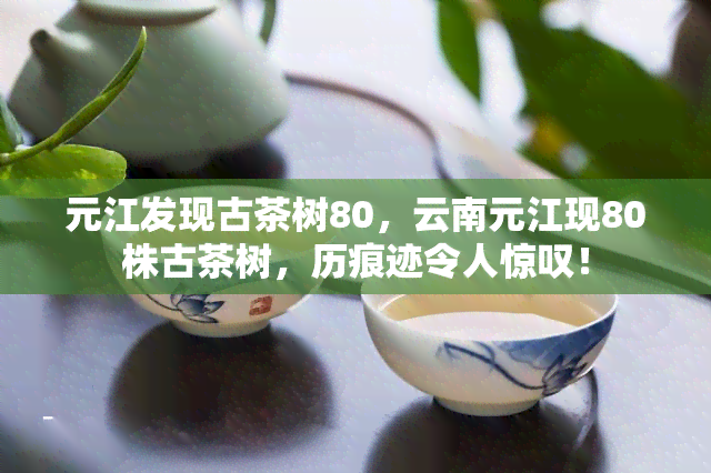 元江发现古茶树80，云南元江现80株古茶树，历痕迹令人惊叹！