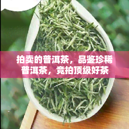 拍卖的普洱茶，品鉴珍稀普洱茶，竞拍顶级好茶