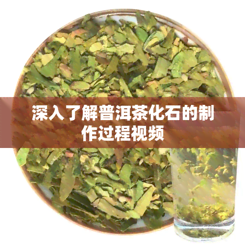 深入了解普洱茶化石的制作过程视频