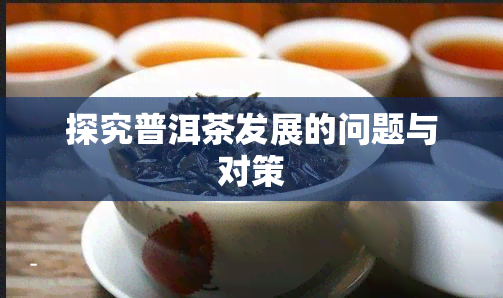 探究普洱茶发展的问题与对策