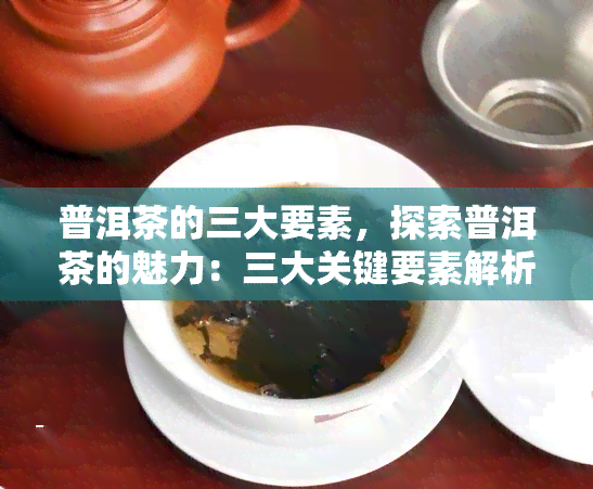 普洱茶的三大要素，探索普洱茶的魅力：三大关键要素解析