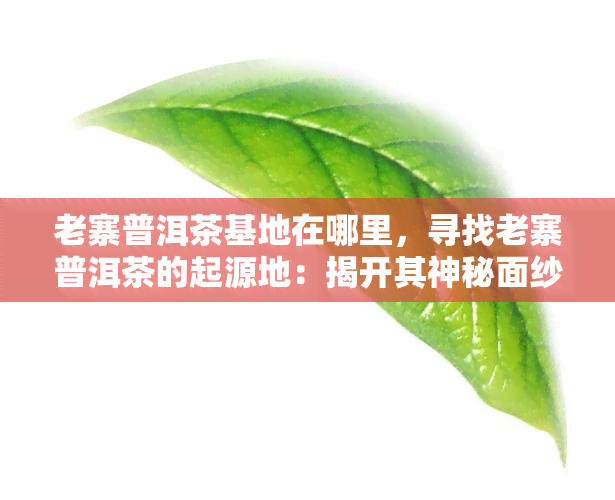 老寨普洱茶基地在哪里，寻找老寨普洱茶的起源地：揭开其神秘面纱！