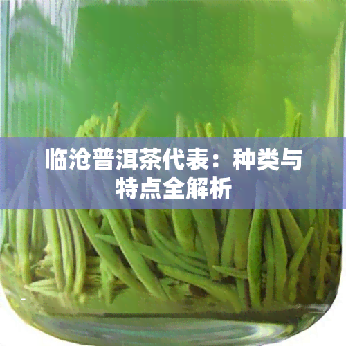 临沧普洱茶代表：种类与特点全解析