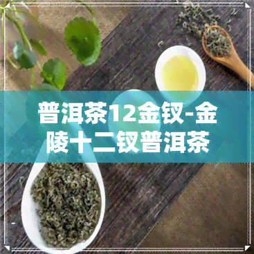 普洱茶12金钗-金陵十二钗普洱茶