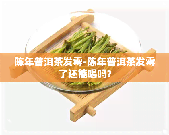 陈年普洱茶发霉-陈年普洱茶发霉了还能喝吗?