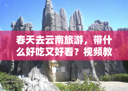 春天去云南旅游，带什么好吃又好看？视频教程全攻略！