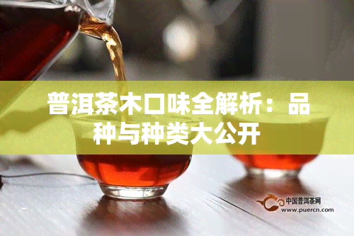 普洱茶木口味全解析：品种与种类大公开