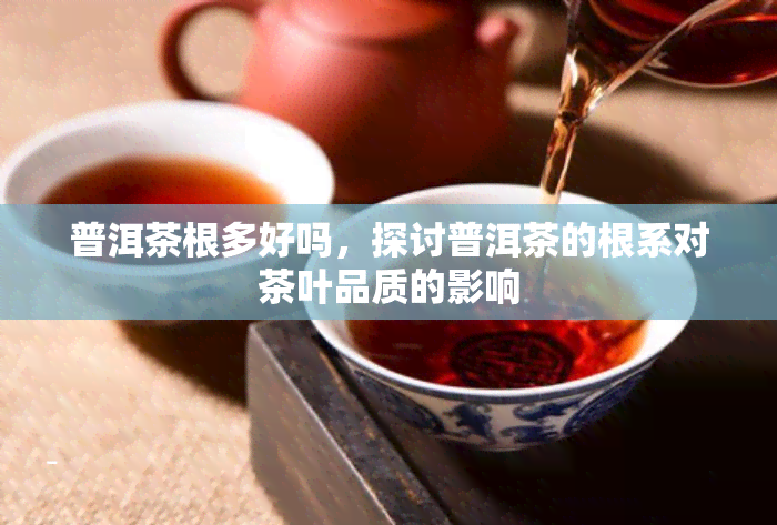 普洱茶根多好吗，探讨普洱茶的根系对茶叶品质的影响