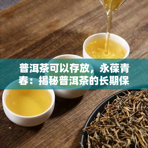普洱茶可以存放，永葆青春：揭秘普洱茶的长期保存之道