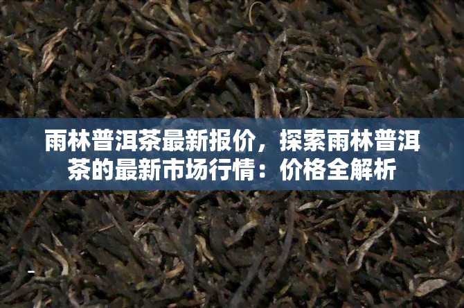 雨林普洱茶最新报价，探索雨林普洱茶的最新市场行情：价格全解析