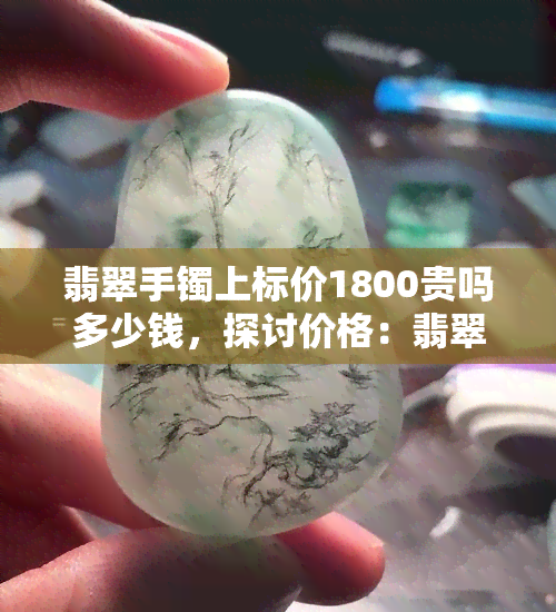 翡翠手镯上标价1800贵吗多少钱，探讨价格：翡翠手镯标价1800是否算贵？