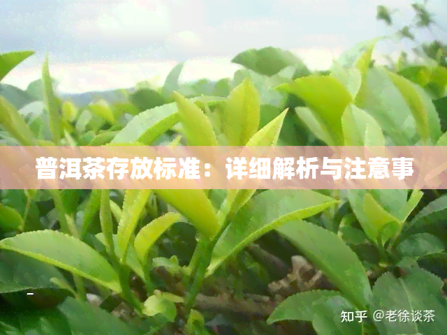 普洱茶存放标准：详细解析与注意事