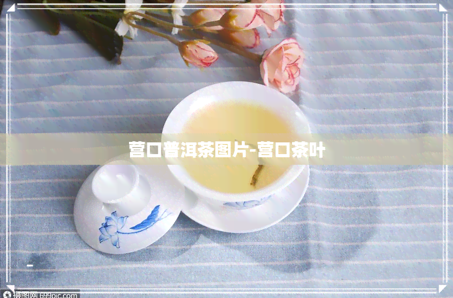 营口普洱茶图片-营口茶叶